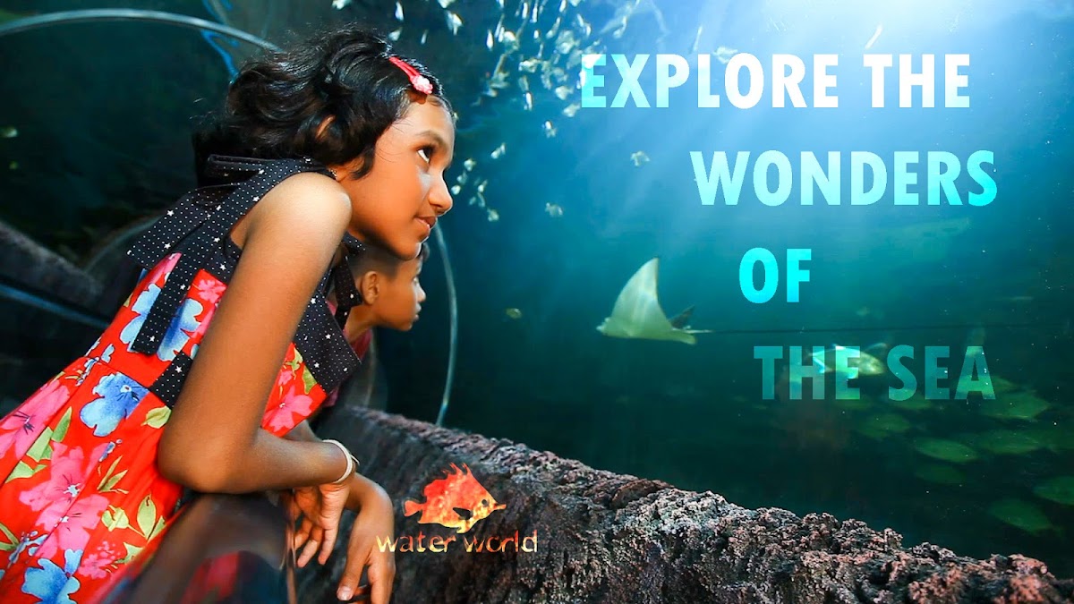 Water World Kelaniya & Bird Park